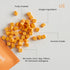 Freeze Dried Cheese Dog Treats - Grain-Free, High-Protein Pasteurized Dog Treats Made in The USA - Human-Grade, Minimally Processed & Preservative...