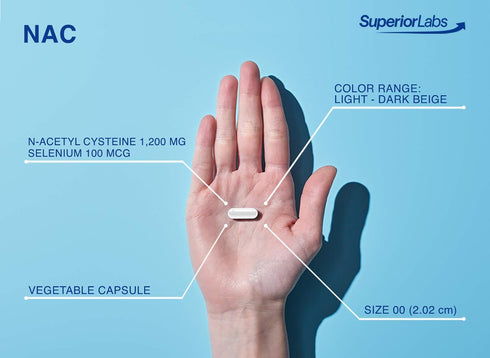 Superior Labs - NAC (N-Acetyl Cysteine) - Dietary Supplement with Selenium - 1,200mg, 150 vegetable capsules - Free Radical Protection - Normal Im...