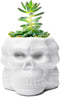 Berry President Skull Flower Pot, Ceramic Skull Capita Planter, Succulent Plants Pots Potted for Desktop Ornaments Office Decor, paperclips Pin St...