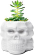 Berry President Skull Flower Pot, Ceramic Skull Capita Planter, Succulent Plants Pots Potted for Desktop Ornaments Office Decor, paperclips Pin St...