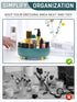 360° Rotating Makeup Organizer, Cosmetic Storage for Vanity, Dresser, Bathroom Counter - Holds Skincare, Nail Polish, Lipstick, Green...