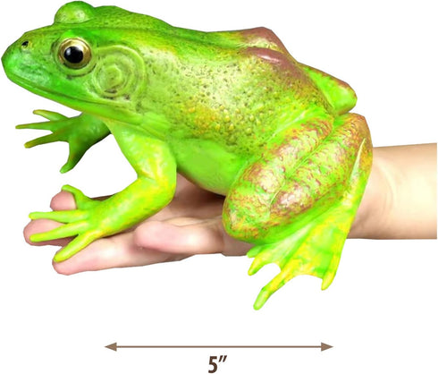 Gemini&Genius Tree Frog Toy Figure for Kids, Realistic Hand Painted Toy Bullfrog Action Figure Play or Display Toy, Animals Educational and Role P...