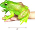 Gemini&Genius Tree Frog Toy Figure for Kids, Realistic Hand Painted Toy Bullfrog Action Figure Play or Display Toy, Animals Educational and Role P...