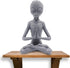 Dnoifne Garden Statue Meditating Alien Sculptures, Meditating Alien Resin Ornament, UFO Indoor Outdoor Garden Decor, Meditating Alien Figurines...