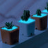 300pc Glow in The Dark Stones Glow in Dark Rocks Outdoor Luminous Pebbles Glow in The Dark Pebbles for Garden Luminous Glow Stones for Outdoor Dec...