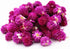 TooGet Fragrant Dried Flowers and Herbs Accessories Decorations 9 Bags Set Dry Flowers for Soap Bath Bombs Making and Dried Flower Crafts...