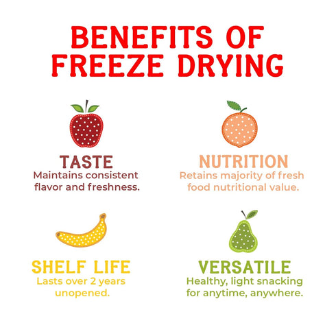 Nature’s Turn Freeze-Dried Strawberry Crisps – Healthy, Gluten-Free, Crispy & Delicious, Plant-Based Snack, Ideal for Cereal, Smoothies, School Lu...