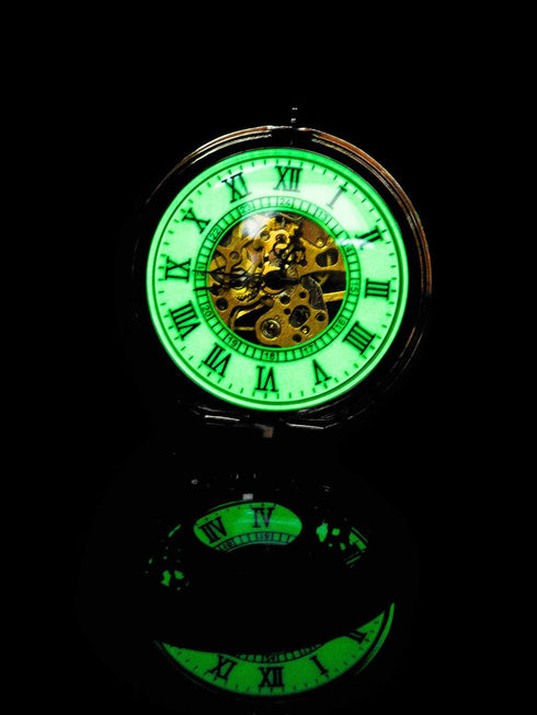 BOSHIYA Vintage Mechanical Pocket Watches for Men Luminous Steampunk Pocket Watch with Chain Black Skeleton Dial Roman Numberals Pocketwatch Gifts...