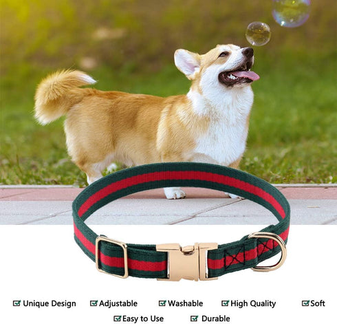 Premium Dog Collar, Cute Dog Collars Luxury Style, Durable Pet Collars with Metal Buckle Safety for Medium Dogs...