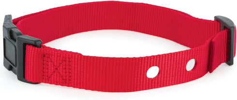 PetSafe 1 Inch Replacement Collar Strap with 2 Holes, for Wireless Fence and In-Ground Fence Collars - Red...