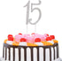 JANOU 15 Cake Topper Number 15 Crystal Rhinestones 15th Cake Decoration for Birthday Anniversary Party Decoration (Silver)...