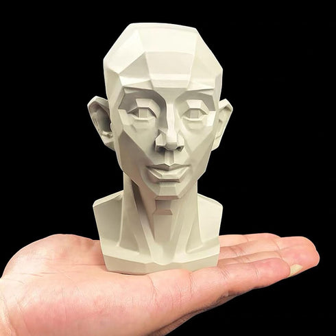 Generic Planar Head Model for Artists Learn Planes of Face, Human Manikin Head for Medical and Artistic Drawing Skecthing Painting, Color White (L...