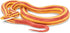 Safari Ltd.Corn Snake Figurine - Lifelike 5.25" Model Figure - Educational Toy for Boys, Girls, and Kids Ages 3+...