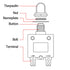 Push Button 3 Amp Circuit Breaker Automatic Trip, Briidea Fuse Tester Manual Reset 32V, Low Voltage Protection...
