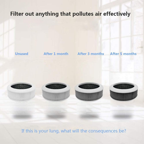 True HEPA Filter - Replacement Air Purifier Filter for QUEENTY F006 Car Air Purifier...