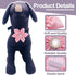 PET SHOW 4pcs Dog Flowers Collar Charms Slides Attachment Accessories For Small Medium Large Dogs Cat Puppy Bows Grooming Supplies…...