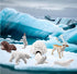 10pcs Arctic Animals Figurines,Mini Arctic Animal Toy Set, Arctic Circle Ocean Sea Animal Figurines Playset for Kids Educational Toys -Cake Topper...