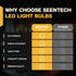 Seentech Dimmable T45 T14 Tubular Vintage Bulbs, E26 LED Edison Bulbs 4W 40W Equivalent, 400 Lumen, 2700K Warm White, Clear Glass Ideal for Ceilin...
