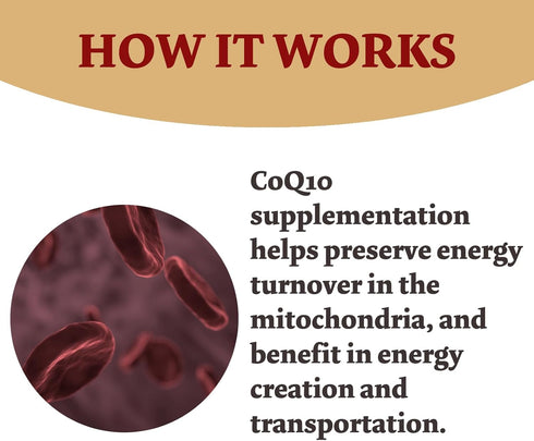 CoQ10 300mg - 120 Capsules - High Absorption - Non-GMO - Gluten-Free - Coenzyme Q10 - CoQ10 Capsules...