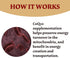 CoQ10 300mg - 120 Capsules - High Absorption - Non-GMO - Gluten-Free - Coenzyme Q10 - CoQ10 Capsules...