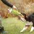 Squeaky Cup Dog Toys, 40oz Tumbler Cup Stuffed Dog Toys with Handle, Funny Plush Dog Toys, Crinkle Dog Toy, Green...