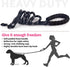 2 Pack Dog Leash 5 FT Thick Durable Nylon Rope - Comfortable Padded Handle Reflective Rope Dog Leash for Medium Large Dogs with Collapsible Pet Bo...