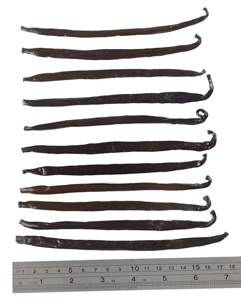 12 Large Vanilla Beans For Making Vanilla Extract Grade A - NON-GMO Planifolia Type Bulk, 6-8 Inches Grade A+...