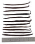 12 Large Vanilla Beans For Making Vanilla Extract Grade A - NON-GMO Planifolia Type Bulk, 6-8 Inches Grade A+...