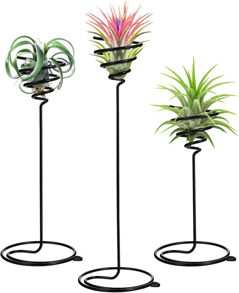 Mipcase 3pcs Flower Stand Air Plants Holders Plant Rack Large Indoor Plant Plant Display Holder House Plants Air Plant Holder Plant Holders Straig...