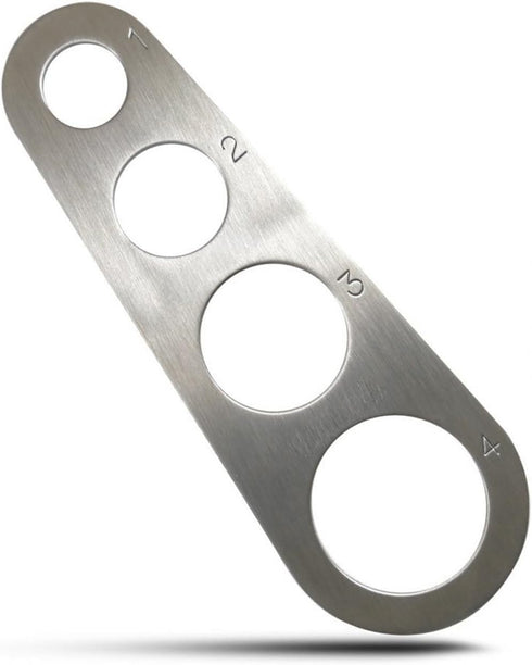 Stainless Steel Spaghetti Pasta Measure (Silver)...