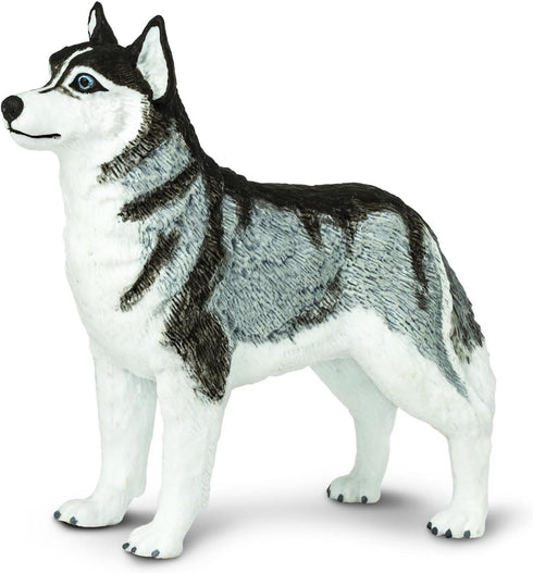 Safari Ltd. Siberian Husky Figurine - Detailed 3.25" Plastic Model Figure - Fun Educational Play Toy for Boys, Girls & Kids Ages 3+...