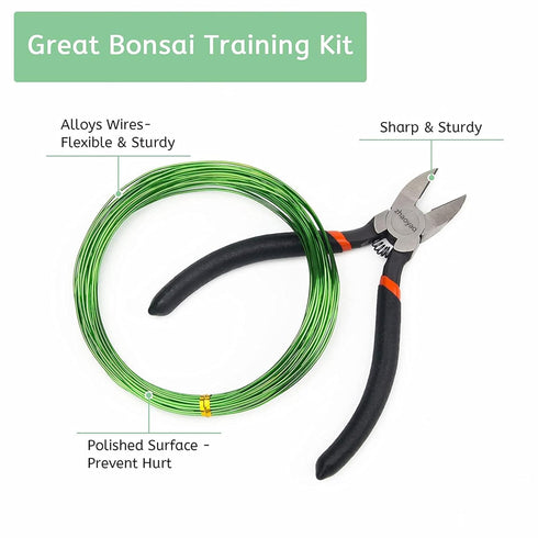 Bonsai Training Wire Kit 164Ft Anodized Aluminum Tree Wire with Bonsai Tree Cutter Plant Training Wire Tools for Bonsai Trees Indoor Garden DIY To...