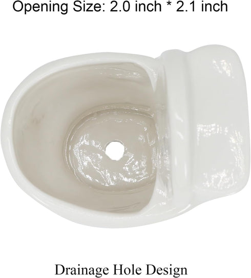 Cute Toilet Bowl Succulent Planter Pot with Drainage Tray, White Ceramic Cactus/Flower Container, Bonsai Holder for Air Plants...
