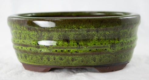 Oval Glazed Cactus & Succulent Planter, Bonsai Pot with Mesh & Wire 6"x 4.5"x 2.5" - Moss Green...