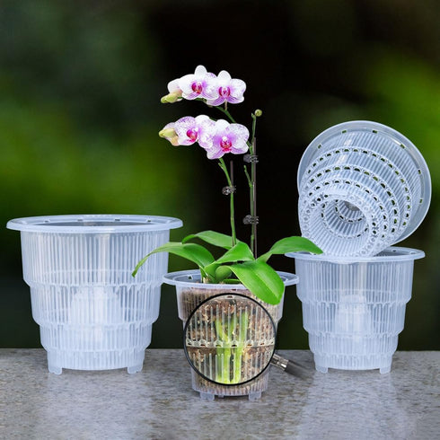 4 Inch Clear Orchid Pots with Holes and Saucers,Orchid Planter for Home Decoration - 6 Pack...