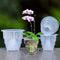 4 Inch Clear Orchid Pots with Holes and Saucers,Orchid Planter for Home Decoration - 6 Pack...