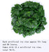 Kalolary Scindapsus Artificial Ivy Garland 84 Feet 12 Strands Leaves Vine Green Plants Garland Hanging Fake Plants Canvas Background Wedding Arch ...