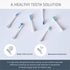 Elements Toothbrush Heads - Compatible with Elements Sonic Toothbrush, Small, Firm Bristles, Small (Pack of 3)...