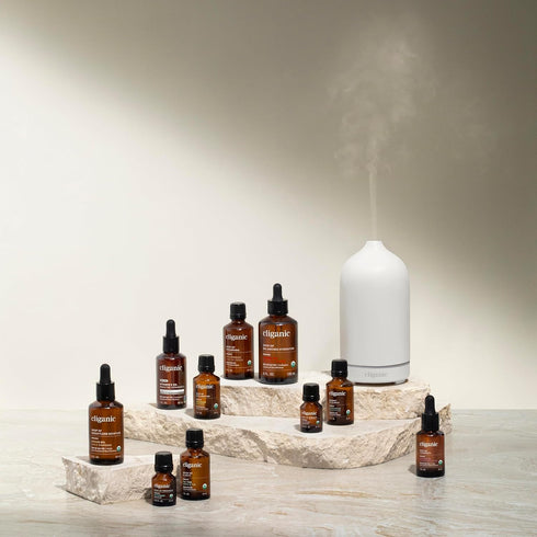 Cliganic Organic Cinnamon Cassia Essential Oil, 100% Pure Natural Undiluted, for Aromatherapy | Non-GMO Verified (Packaging May Vary)...