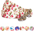 Blueberry Pet 9 Patterns Durable Spring Scent Inspired Pink Rose Print Ivory Dog Leash 5 ft x 3/4", Medium, Leashes for Dogs...