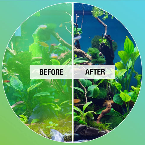 MICROBE-LIFT ALGAA08 ALGAWAY 5.4 Algae Control for Fresh and Salt Water Home Aquariums, 8 Ounces...