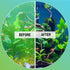 MICROBE-LIFT ALGAA08 ALGAWAY 5.4 Algae Control for Fresh and Salt Water Home Aquariums, 8 Ounces...