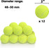 12 Pack Mini Tennis Balls for Pet Playing Fecth, 2 inch Dog Training Tennis Balls for Small Size Dogs, Interactive Dog Playing Balls Fits 2 inch A...