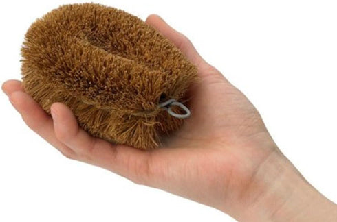 KAMENOKO TAWASHI" Vegetable Scrub Brush × 2 Packs...