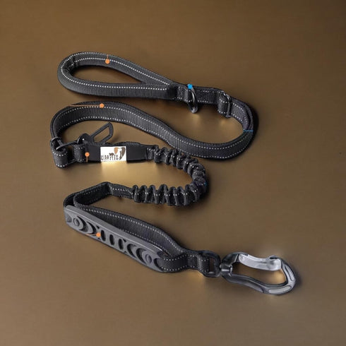 Heavy-Duty Bungee Dog Leash, Shock-Absorbing Features, Multifunctional Design, Car Seatbelt, Dual Padded Handles, Adjustable Length from 4 to 6 Ft...