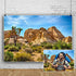 Sandstone Desert Mountain Backdrops,Yeele 5x3ft Vinyl Blue Sky White Clouds Cactus Tropical shrub Landscape Photography Background,Wilderness Hiki...