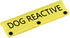 Funny Dog Leash Sleeve Dog Reactive Dog Leash Wrap Wrap Alert Hanging ID Patch Tag Pet Birthday Gift (Dog Reactive-YE Sleeve)...