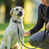 Marvelous Strong Dog Leash with Comfortable Nylon Handle and Highly Reflective Threads for Large and Medium Dogs (Red)...