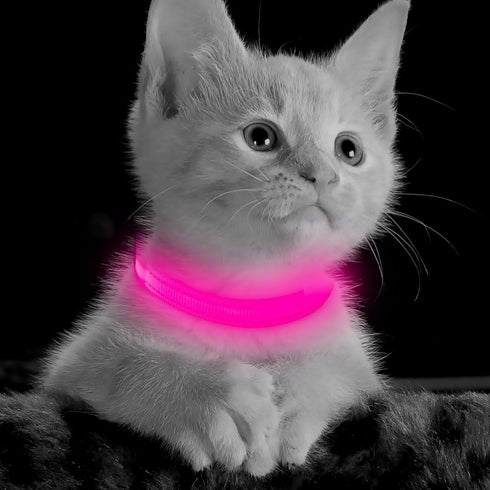 BSEEN Light Up Dog Collars - Rechargeable Glowing LED Dog Collar for Small Dogs & Cats (Pink)...