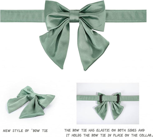 Lionet Paws Bowtie Dog Collar - Comfortable Silk Dog Collar with Detachable Bow Tie for Large Dogs, Neck 16-24 Inches...